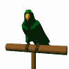 parrot - stockbroker